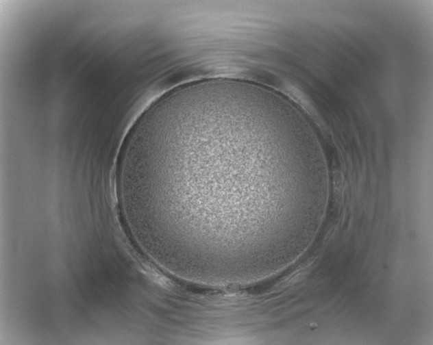 X0000063520891200601231513