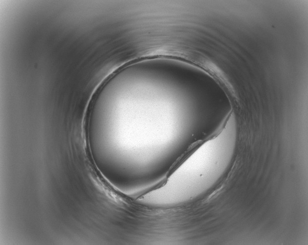 X0000063520892200601231513