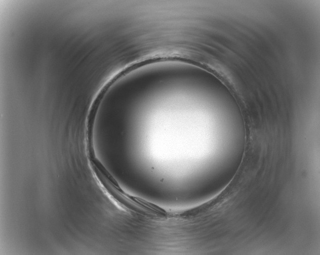 X0000063520894200601231512