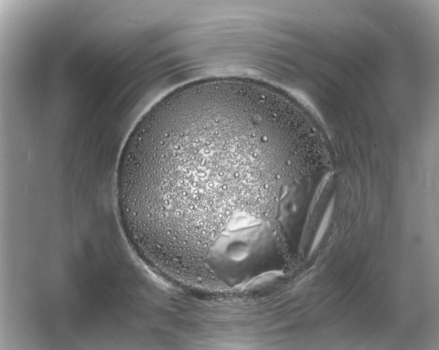 X0000063520895200601231512