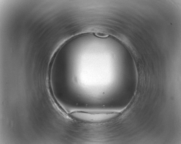 X0000063520896200601231512