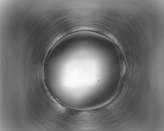 X0000063520898200601231512