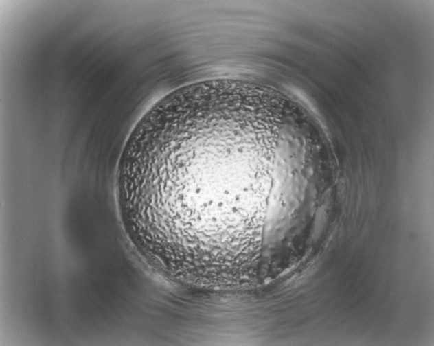 X0000063520899200601231512