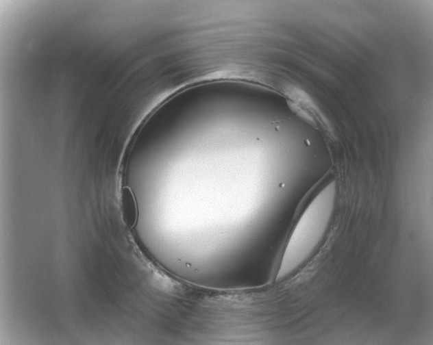 X0000063520900200601231512