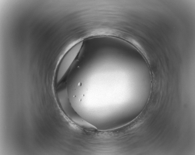 X0000063520901200601231512