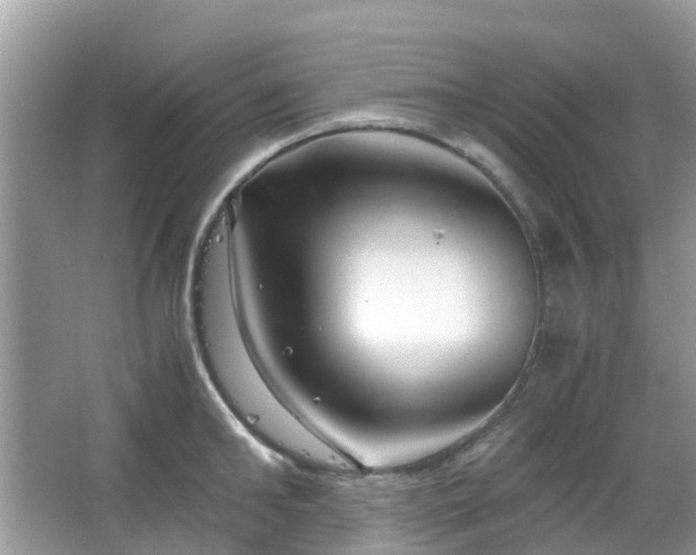 X0000063520902200601231512