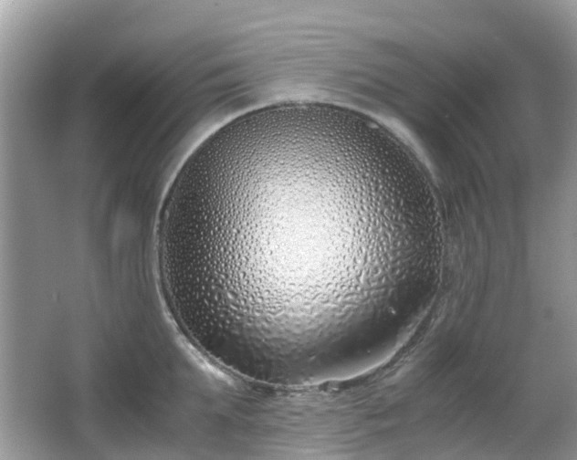 X0000063520903200601231512