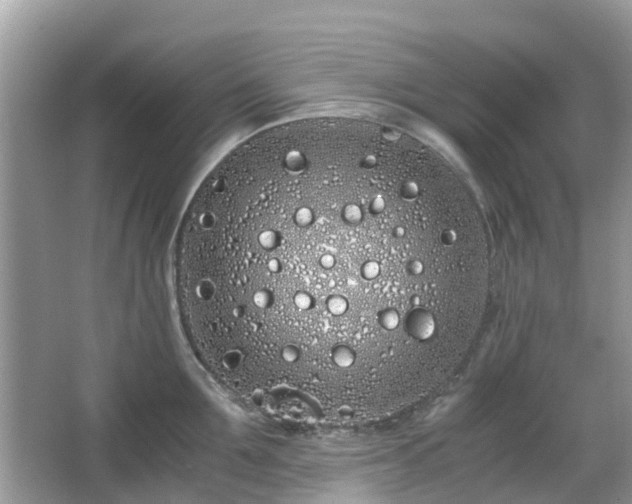 X0000063520907200601231512