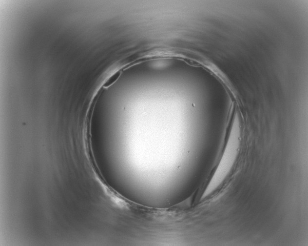 X0000063520909200601231512