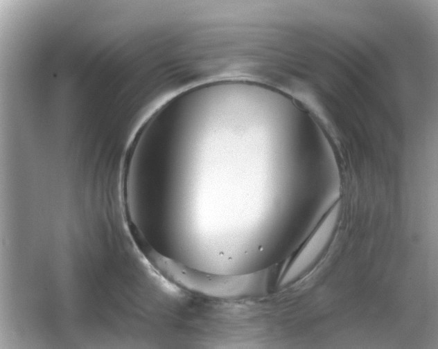 X0000063520910200601231512