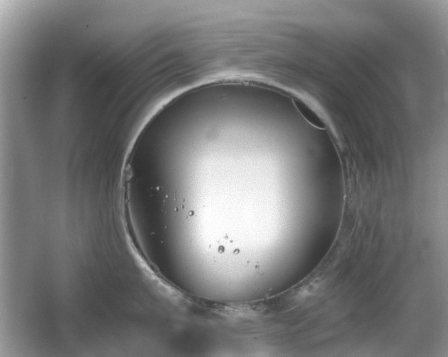 X0000063520911200601231512