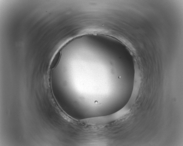 X0000063520912200601231512