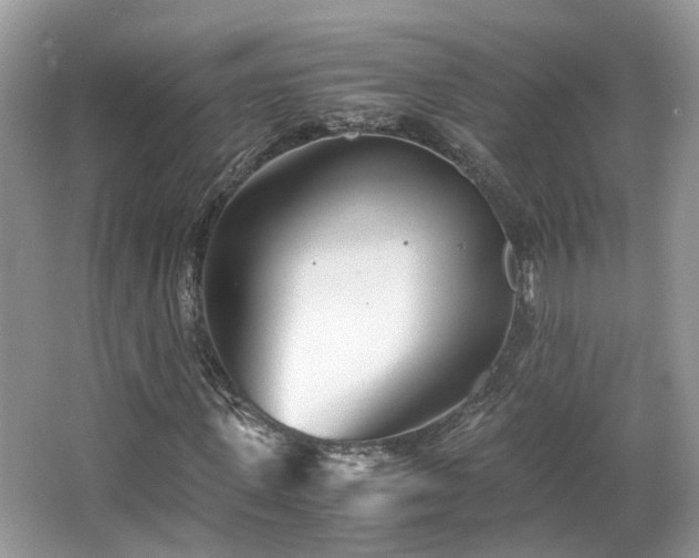 X0000063520915200601231511