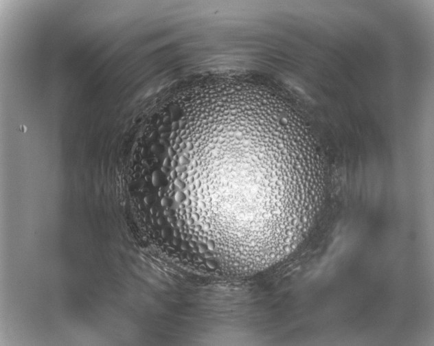 X0000063520917200601231511