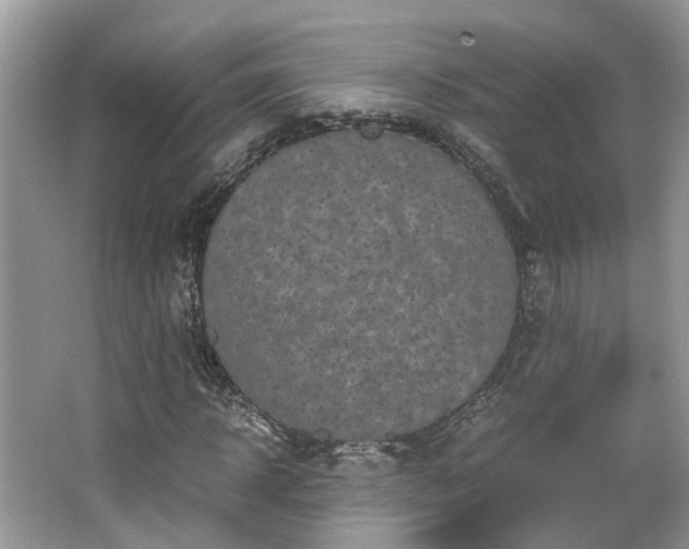 X0000063520918200601231511