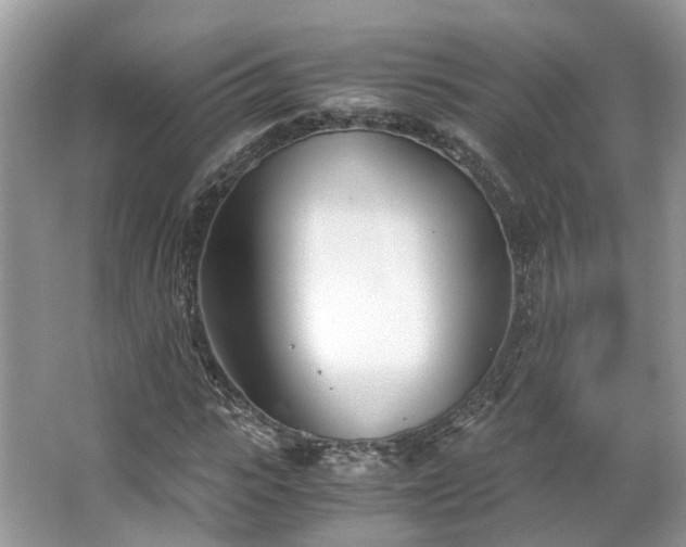 X0000063520919200601231511