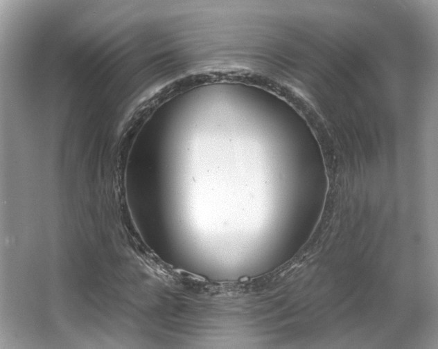 X0000063520920200601231511