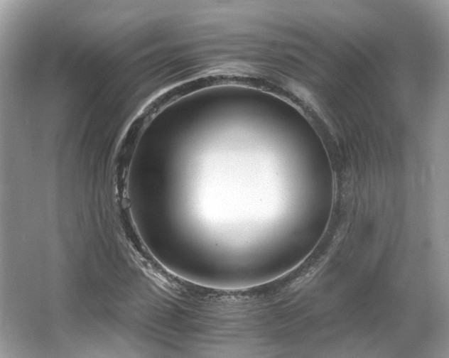 X0000063520923200601231512