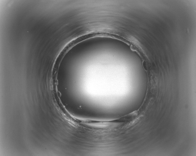 X0000063520924200601231512