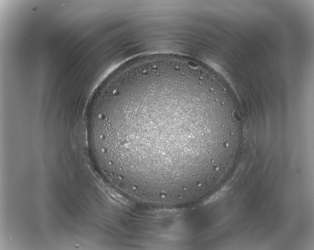 X0000063520925200601231512