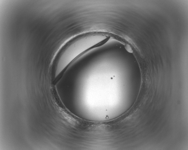 X0000063520926200601231512