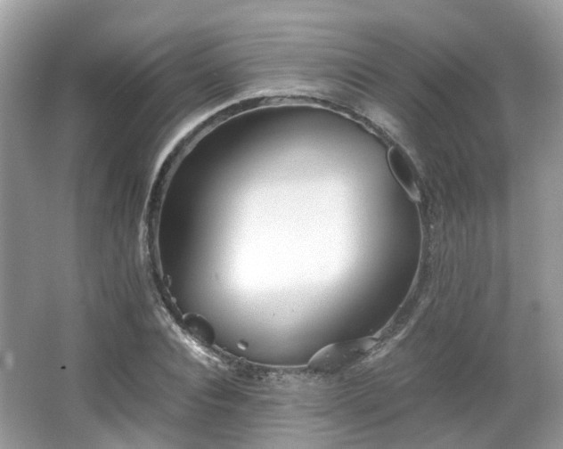 X0000063520928200601231512