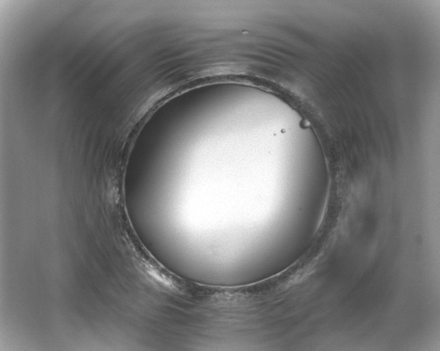 X0000063520929200601231512