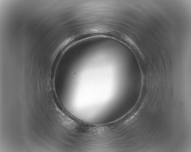 X0000063520930200601231512