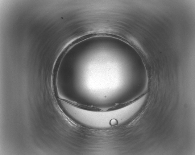 X0000063520932200601231512