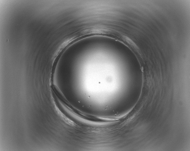 X0000063520938200601231512