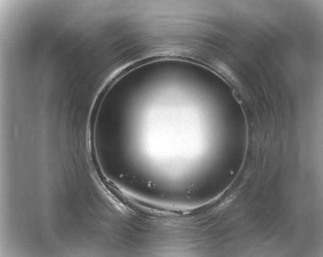 X0000063520940200601231512