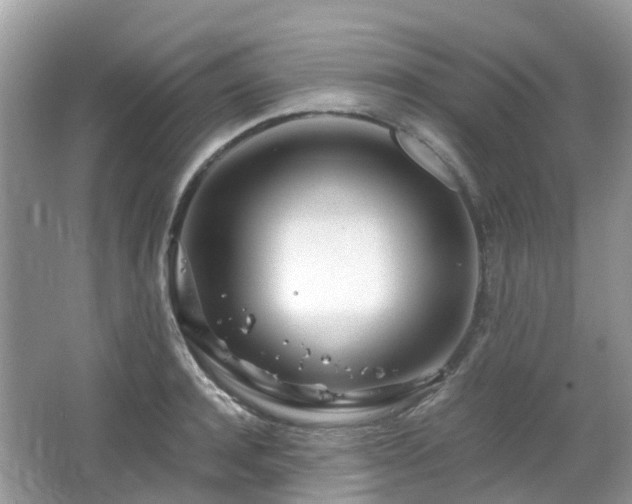 X0000063520944200601231512