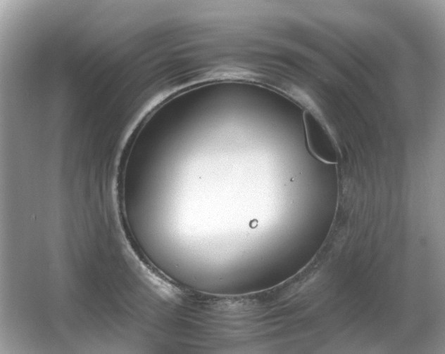 X0000063520947200601231512