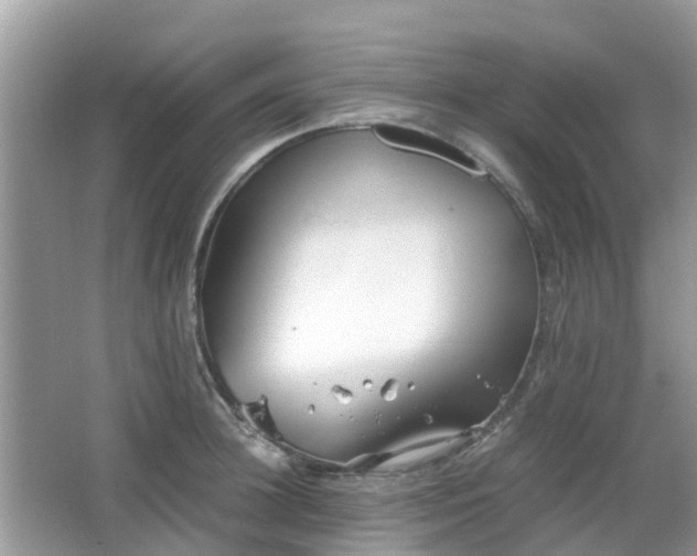 X0000063520948200601231512