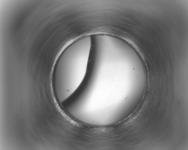 X0000063520949200601231512