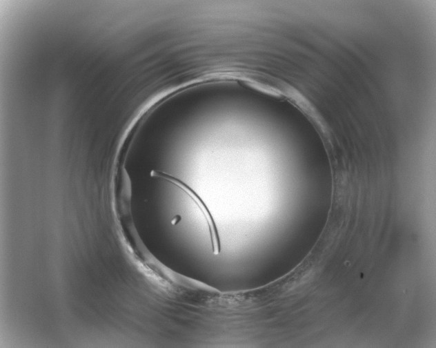 X0000063520955200601231512