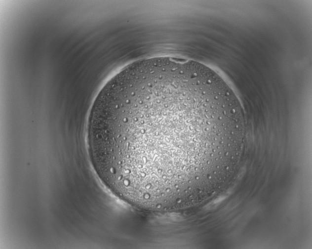 X0000063520957200601231512