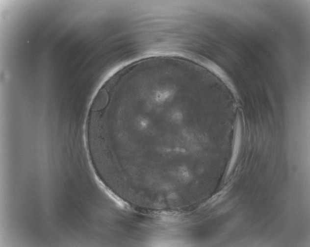 X0000063520958200601231512