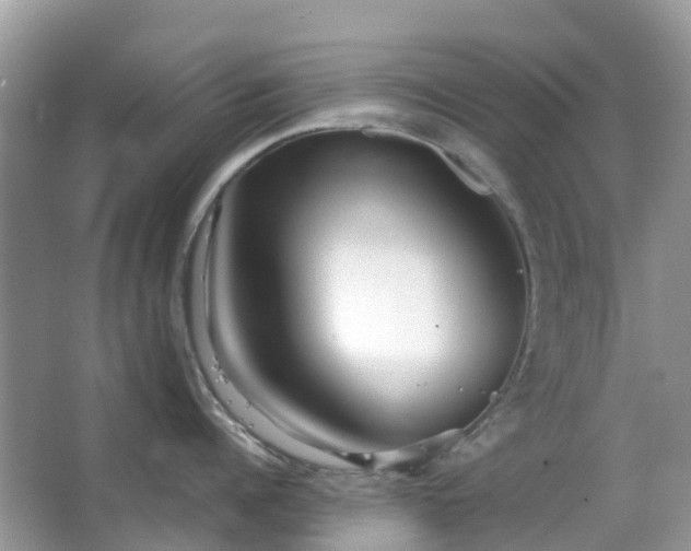 X0000063520960200601231512