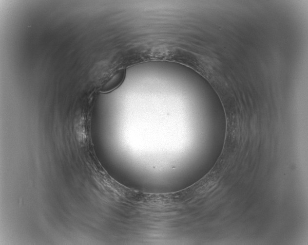 X0000063520962200601231511