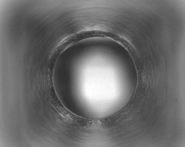 X0000063520968200601231511