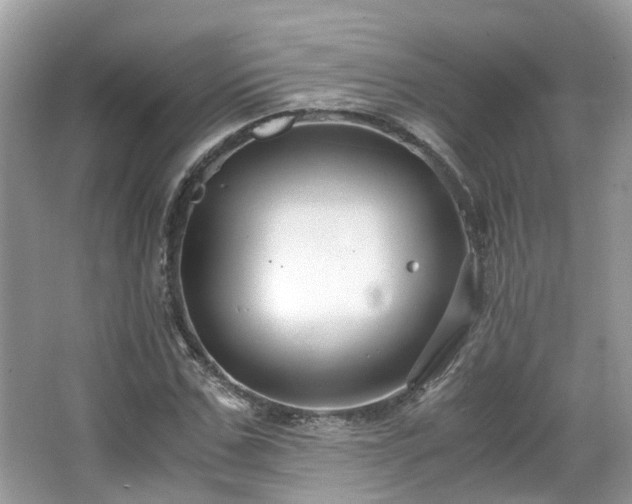 X0000063520971200601231511