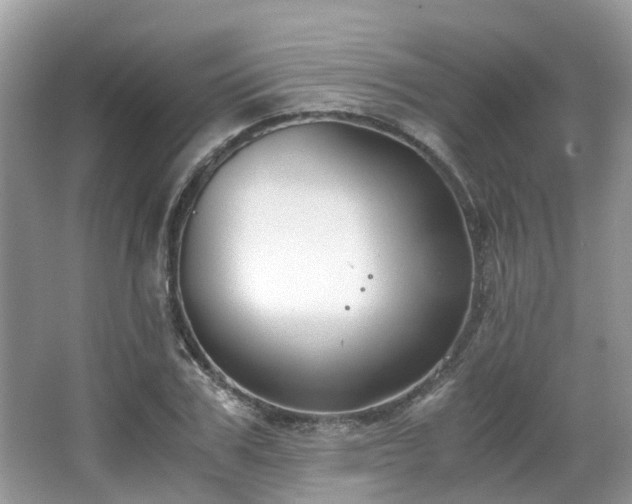 X0000063520979200601231511