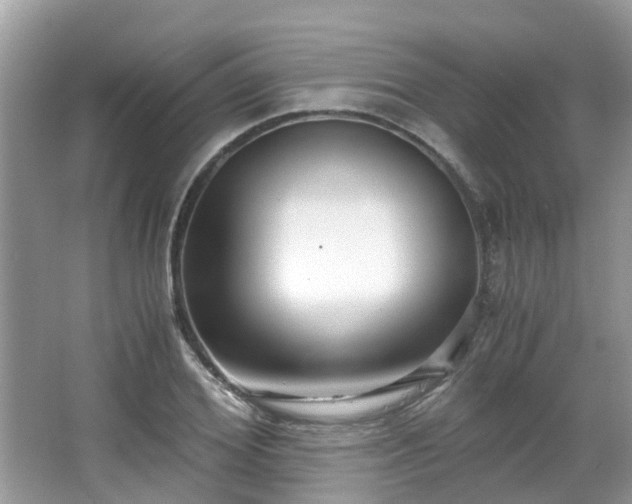 X0000063520980200601231511