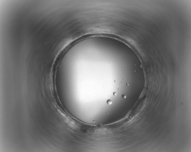 X0000063520982200601231511