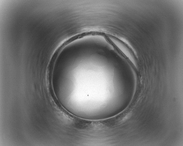 X0000063520983200601231511