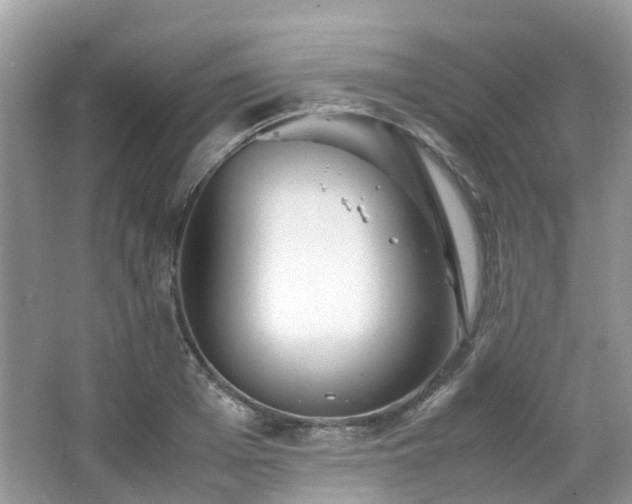 X0000063520985200601231511