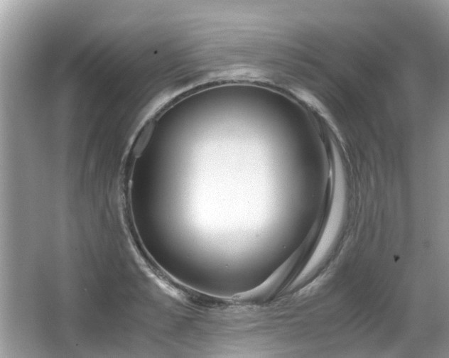 X0000063520989200601231511