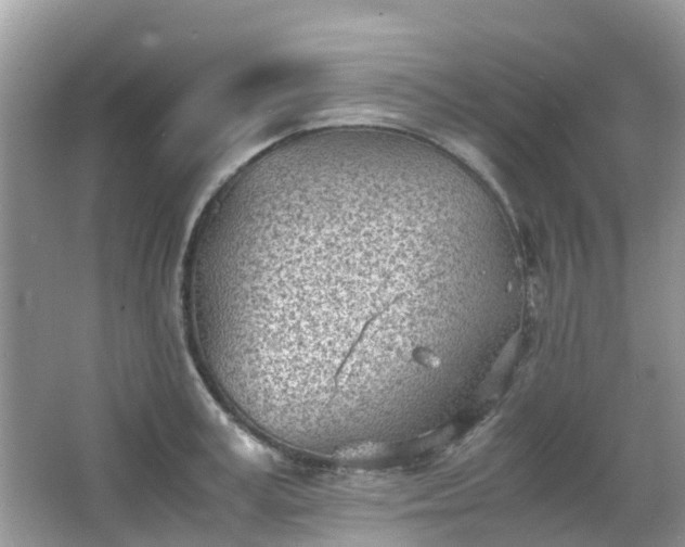 X0000063520995200601231511