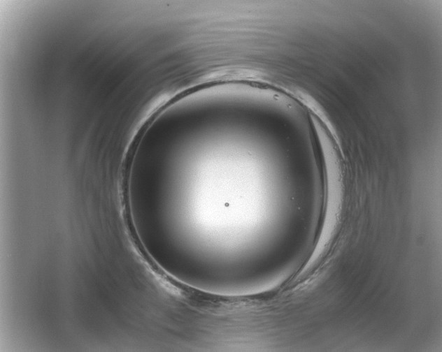 X0000063520997200601231511